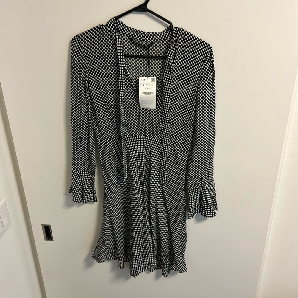 Zara Polka Dot Skater Dress